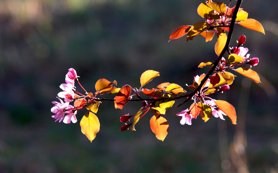 _MG_9630.JPG