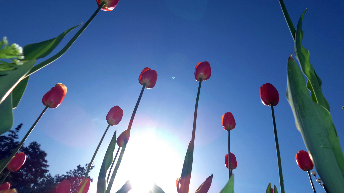 nEO_IMG_20150501_095609.jpg