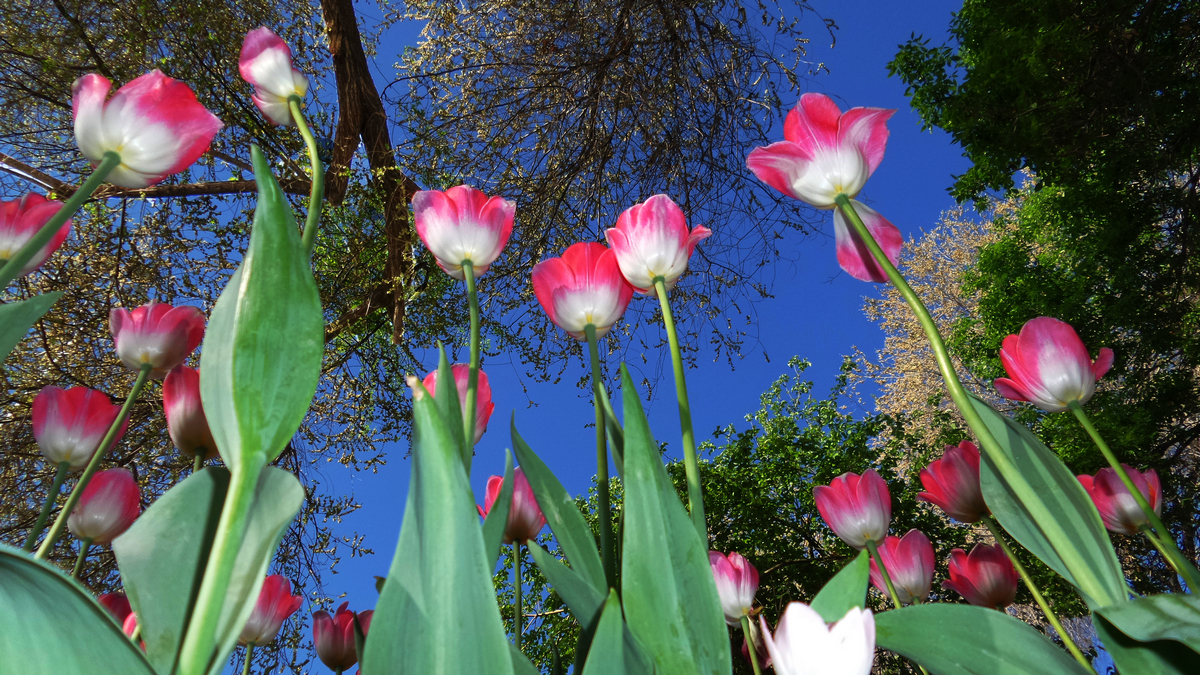 nEO_IMG_20150501_095955.jpg