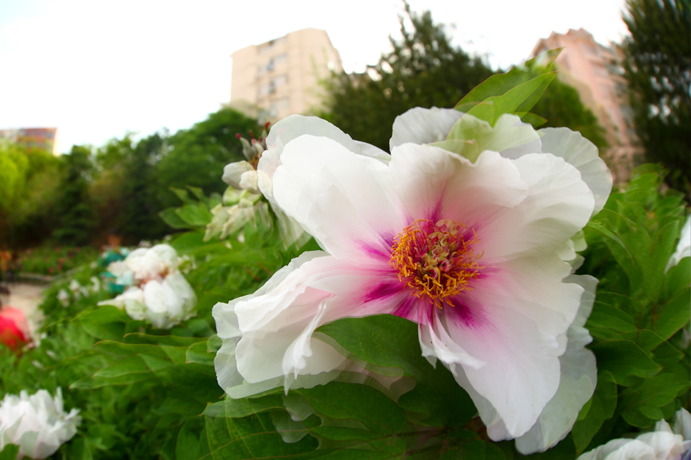 7U2A0313.JPG