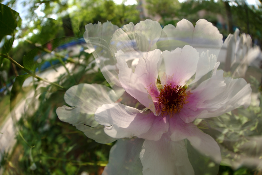 7U2A0306.JPG