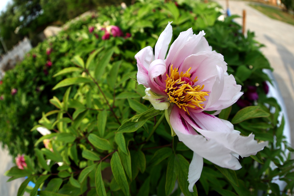7U2A0293.JPG