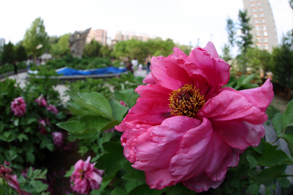 7U2A0347.JPG