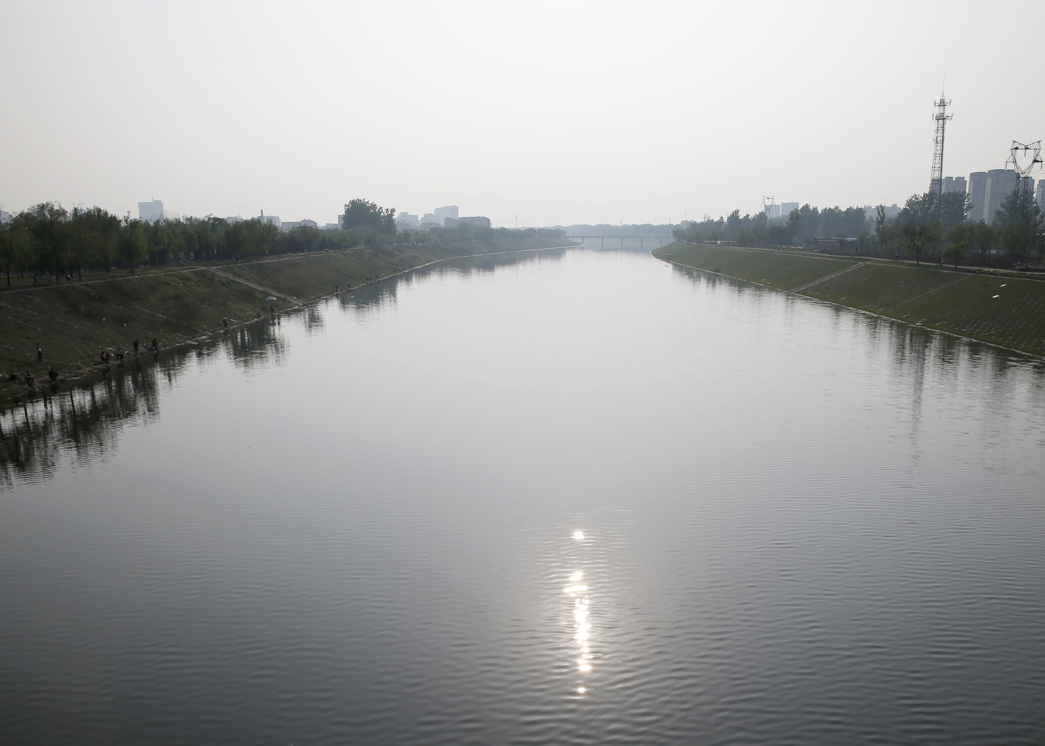 _N0P7956.jpg