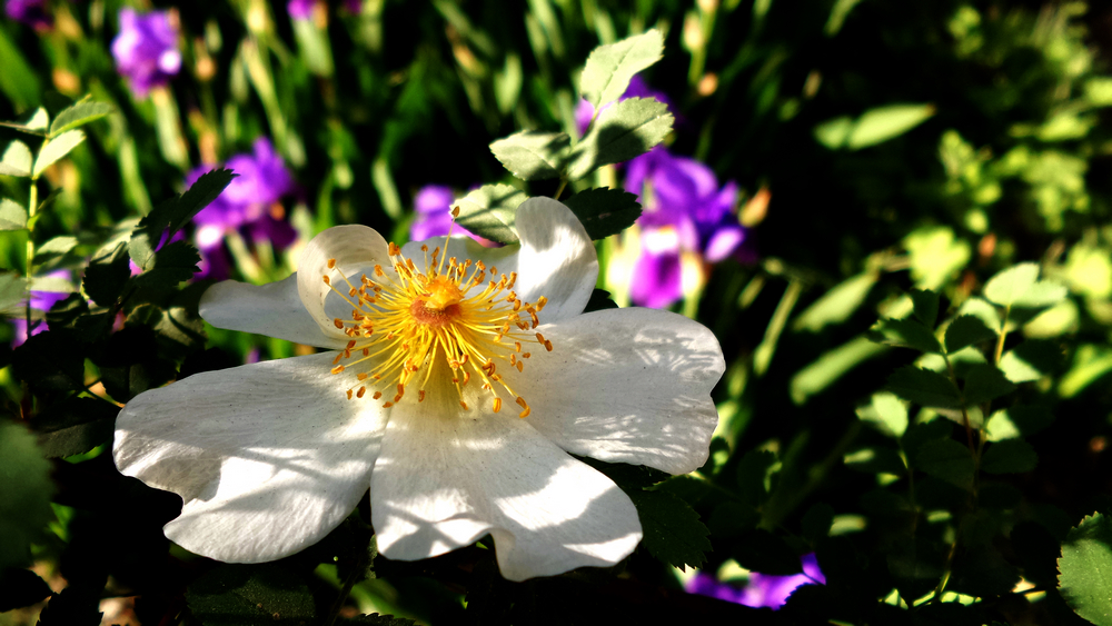 n20150502_095733.jpg