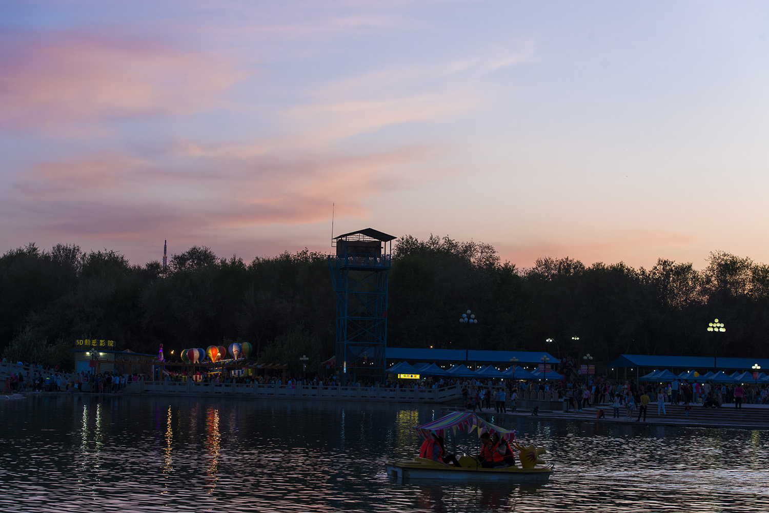 _DSC7378.JPG