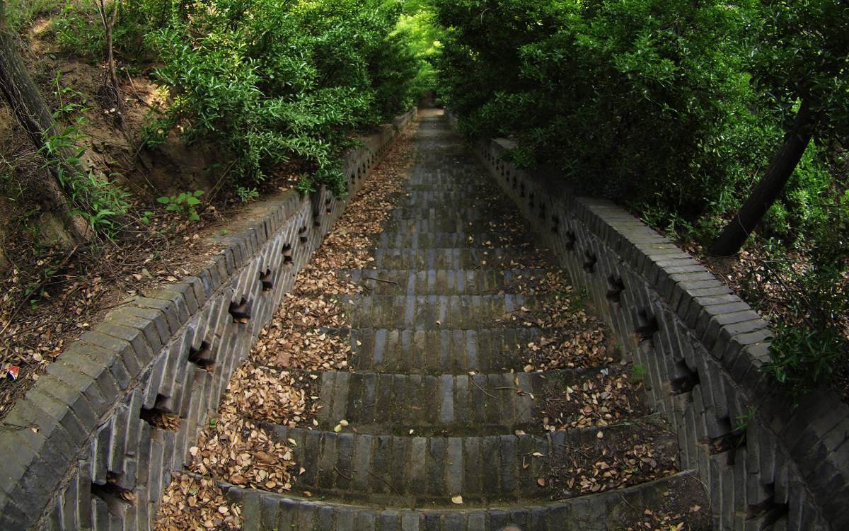 9a.JPG