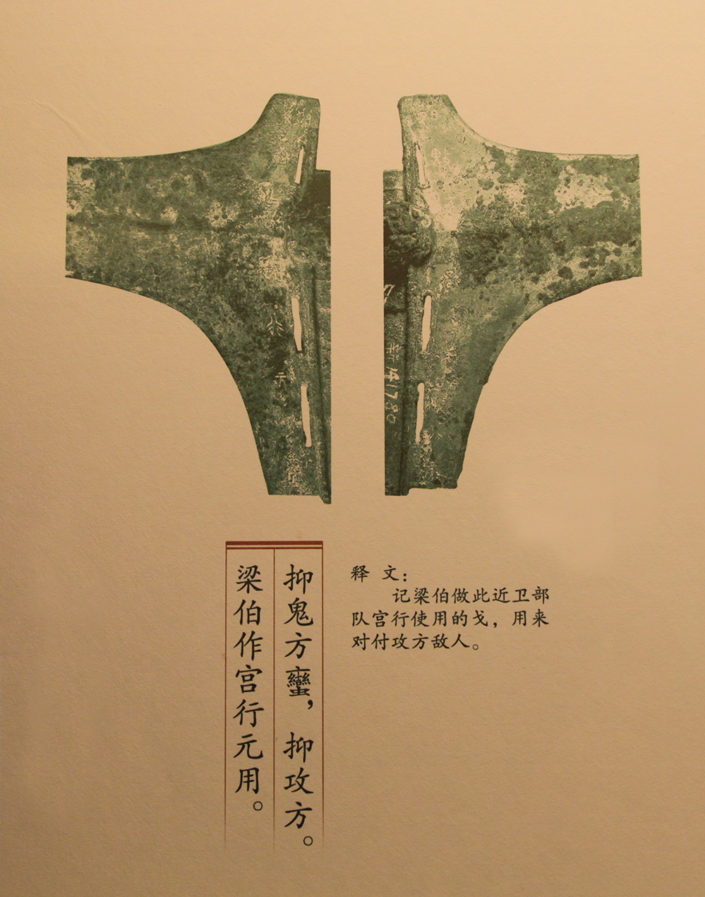 IMGL6005.jpg