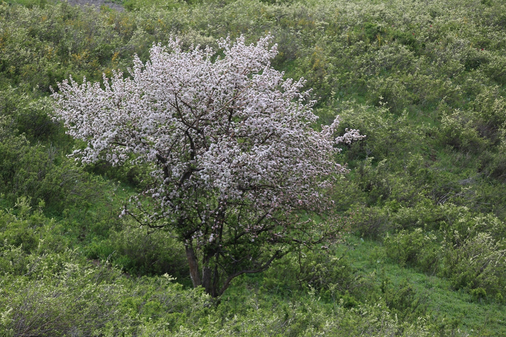 050C0426_.jpg