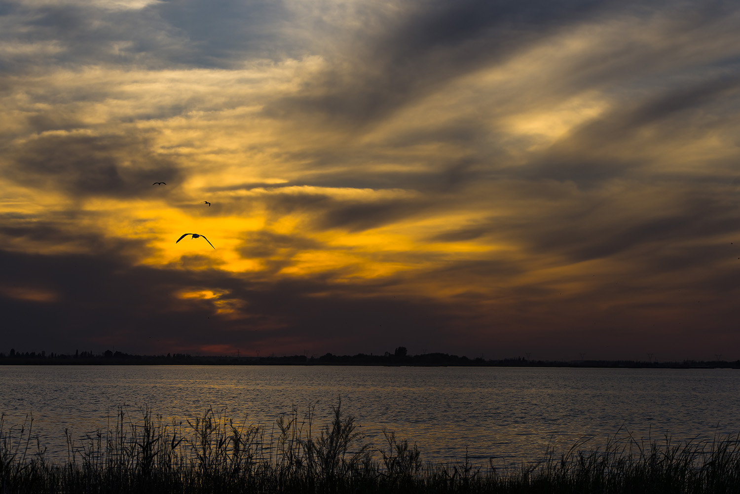 _DSC7689.JPG