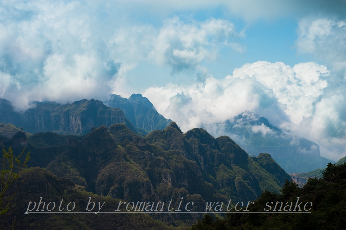 DSC_8795.jpg