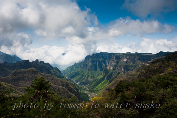 DSC_8801.jpg