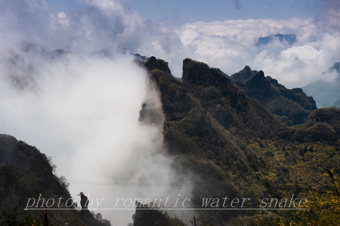 DSC_8817.jpg