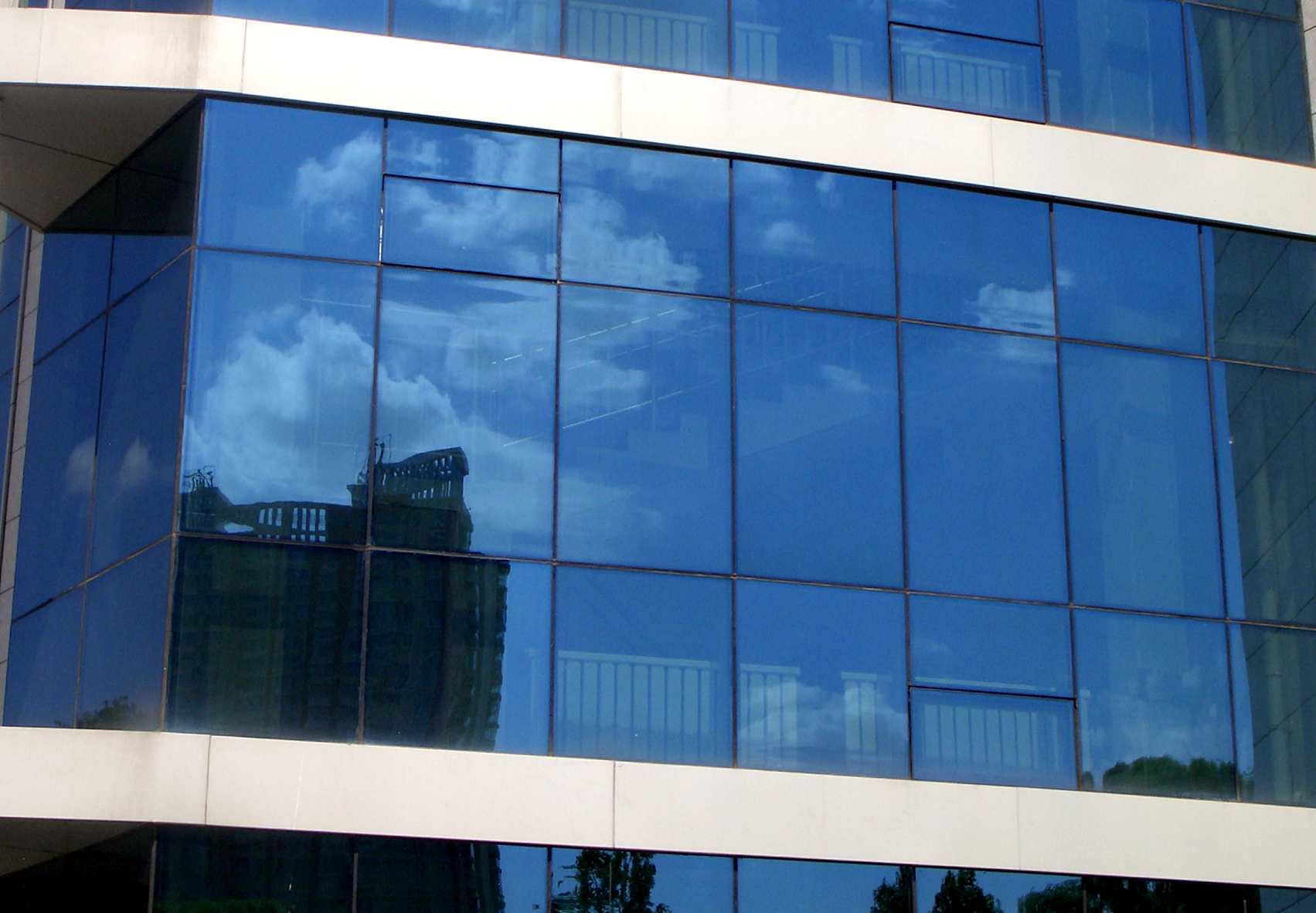 CIMG1153_1.jpg
