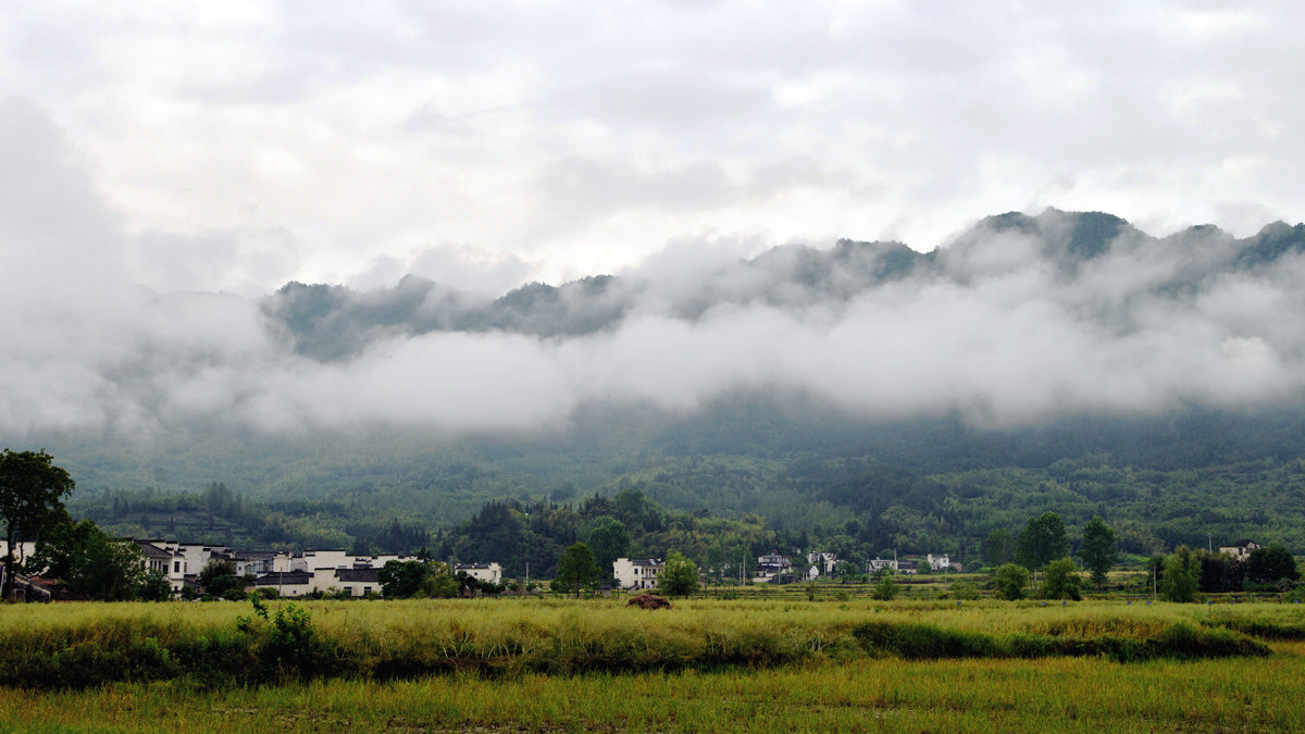 DSC_7182_.JPG