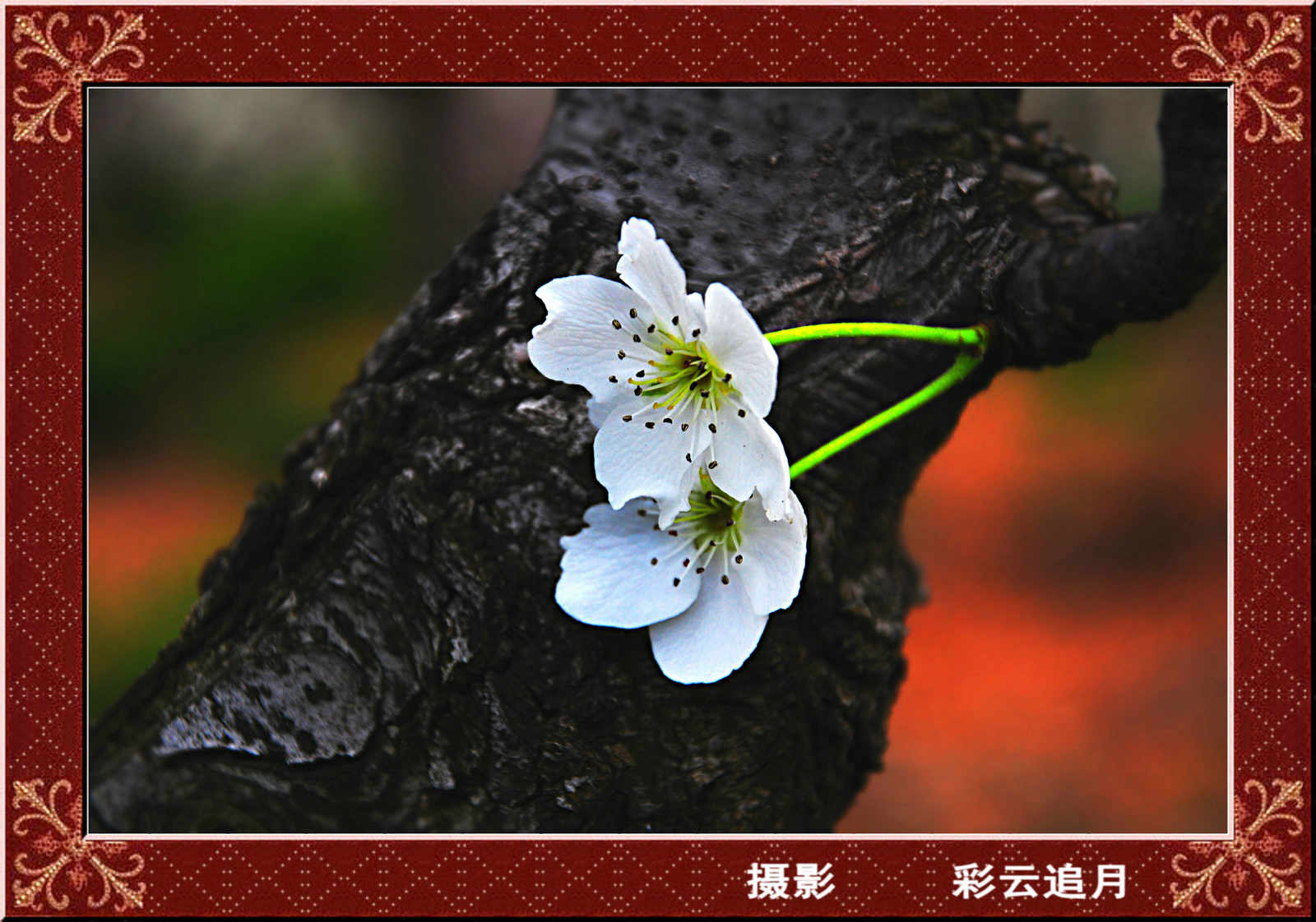20150411Ӱ (16).jpg