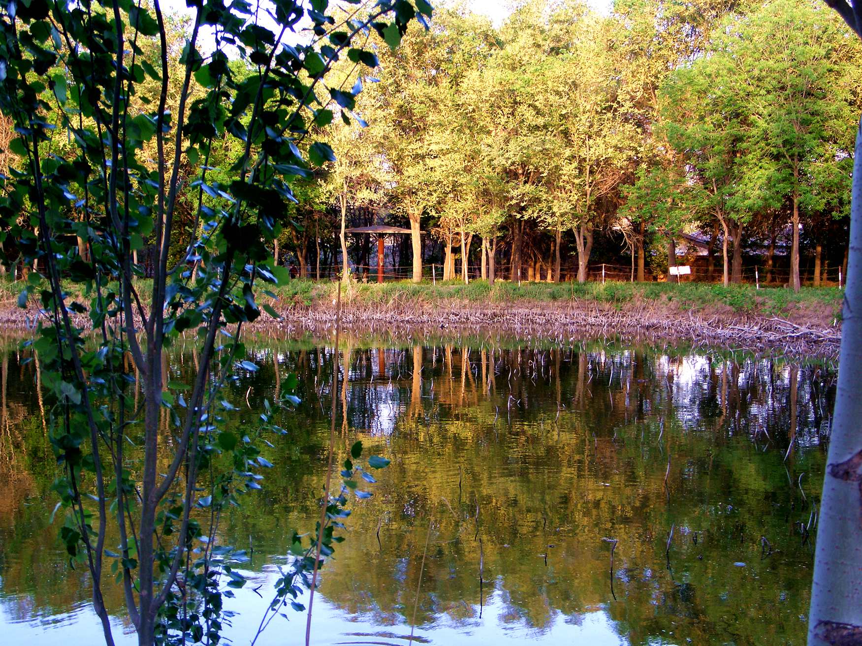 CIMG1040_.jpg