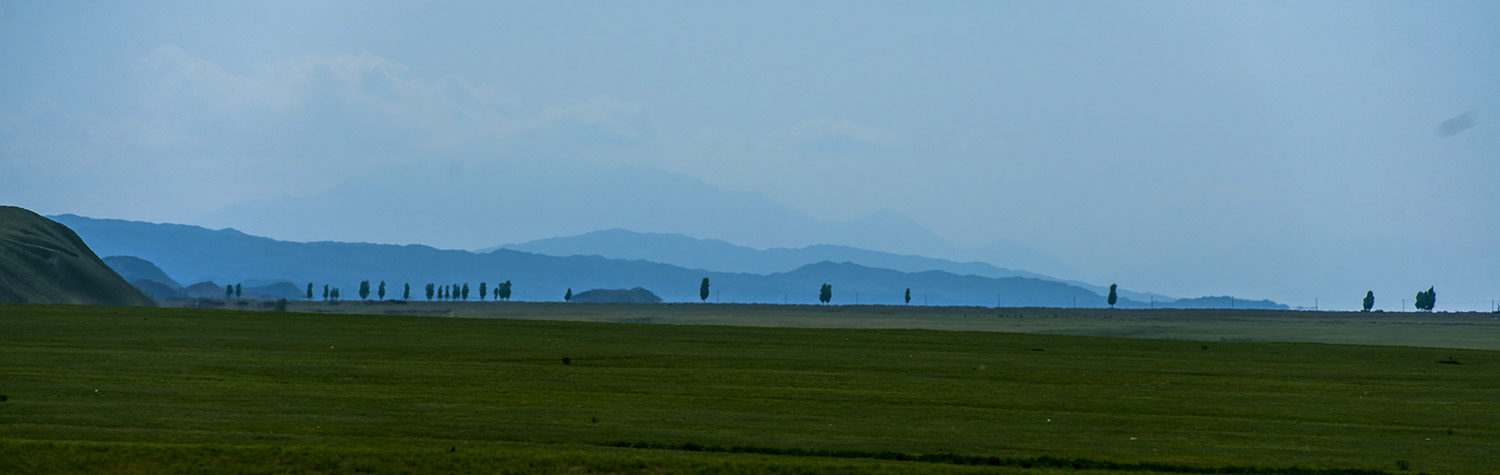 _DSC8130.JPG