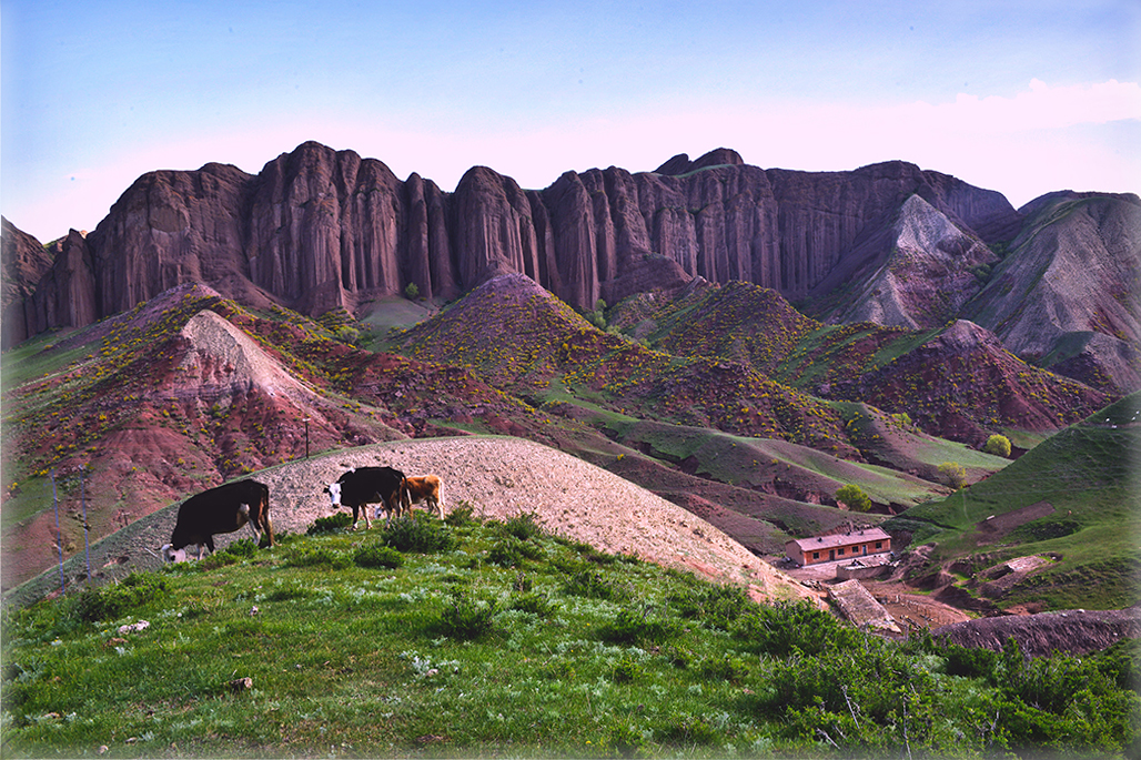 DSC_0338-1.jpg