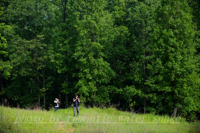 0_71842_4ffab88f2c95188.jpg