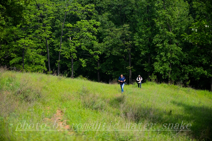 0_71842_26138ab23b5028b.jpg