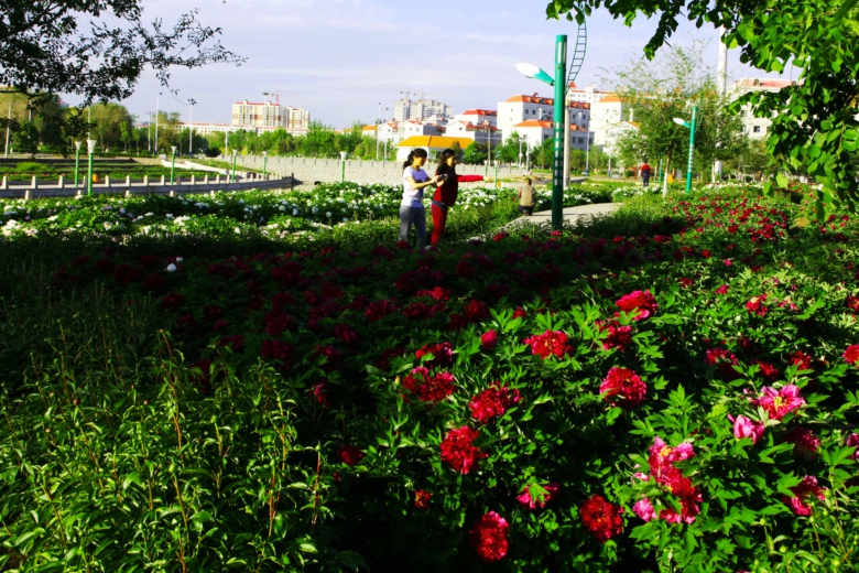 IMG_9936.jpg