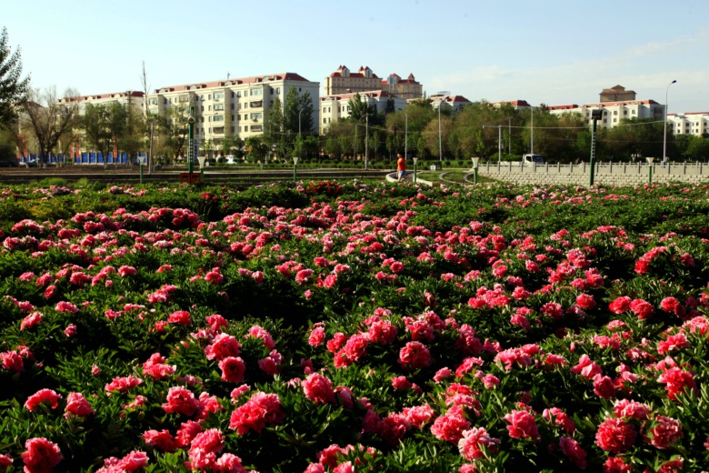 IMG_9984.jpg