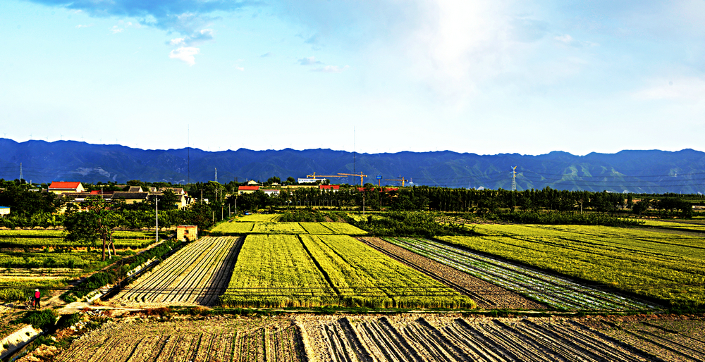 _DSC8779_.JPG