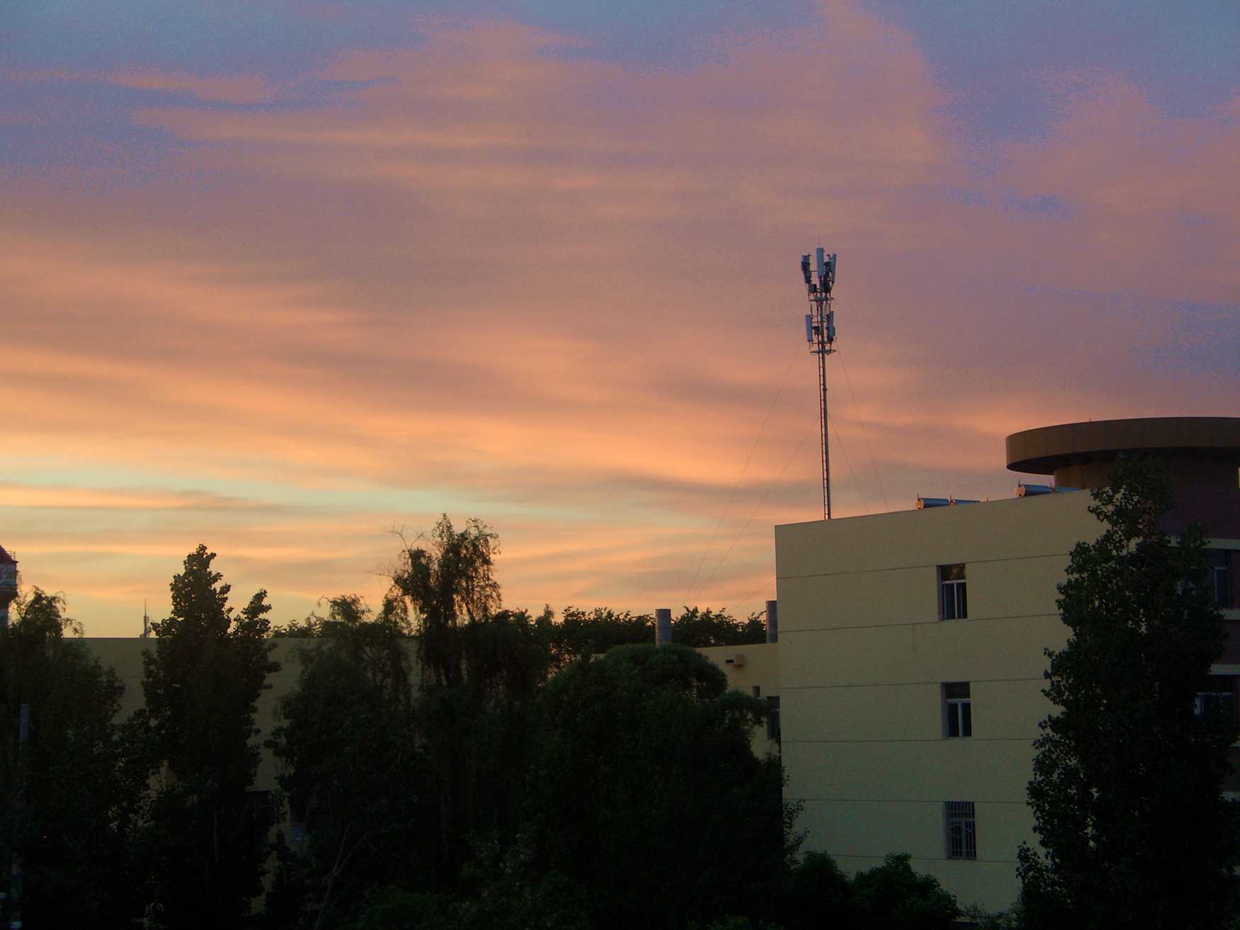 CIMG1304_.jpg