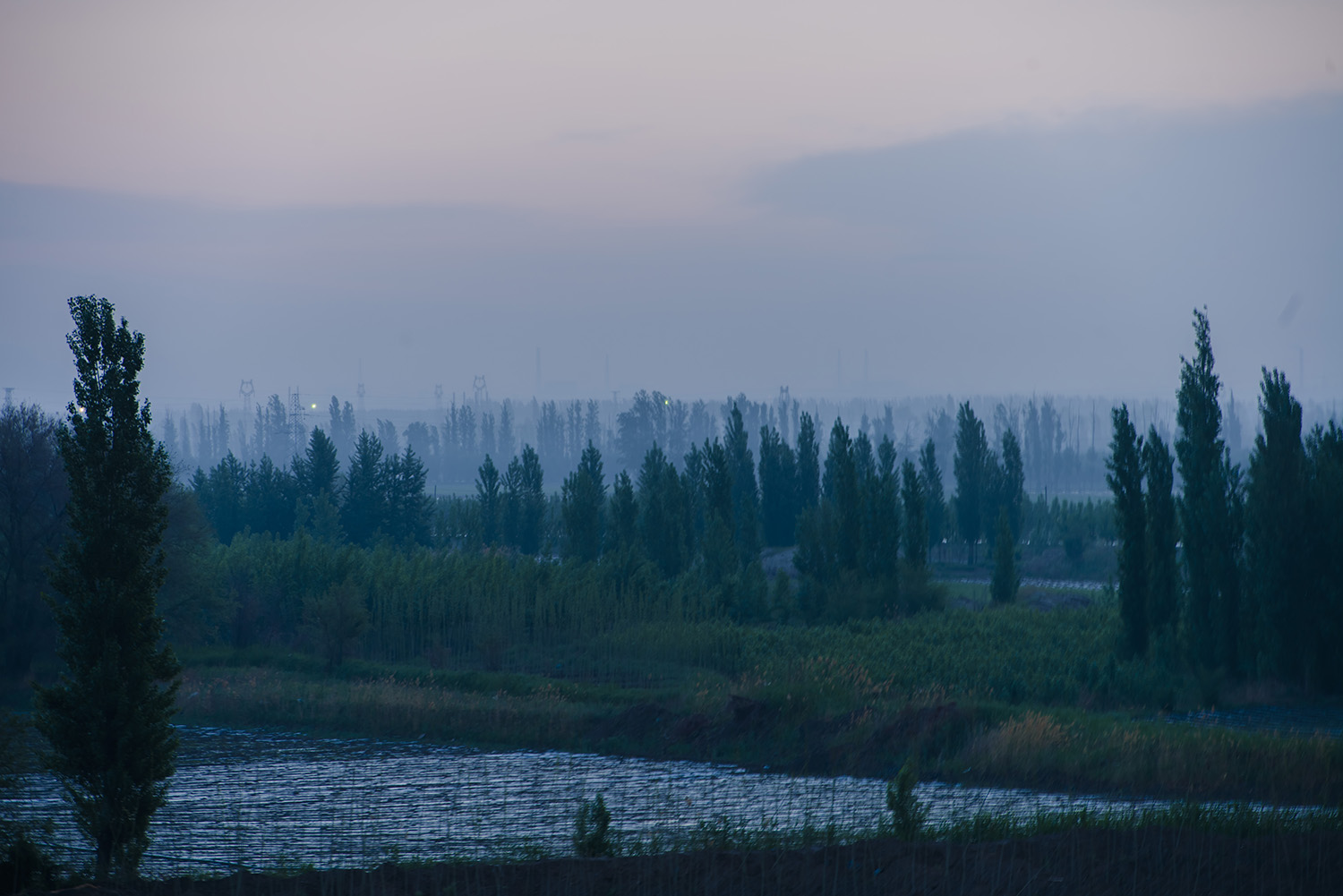 _DSC7971.JPG