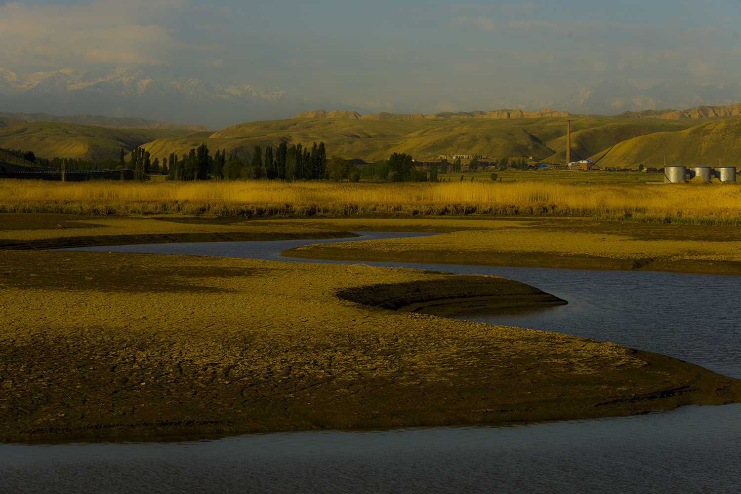_DSC8035.JPG