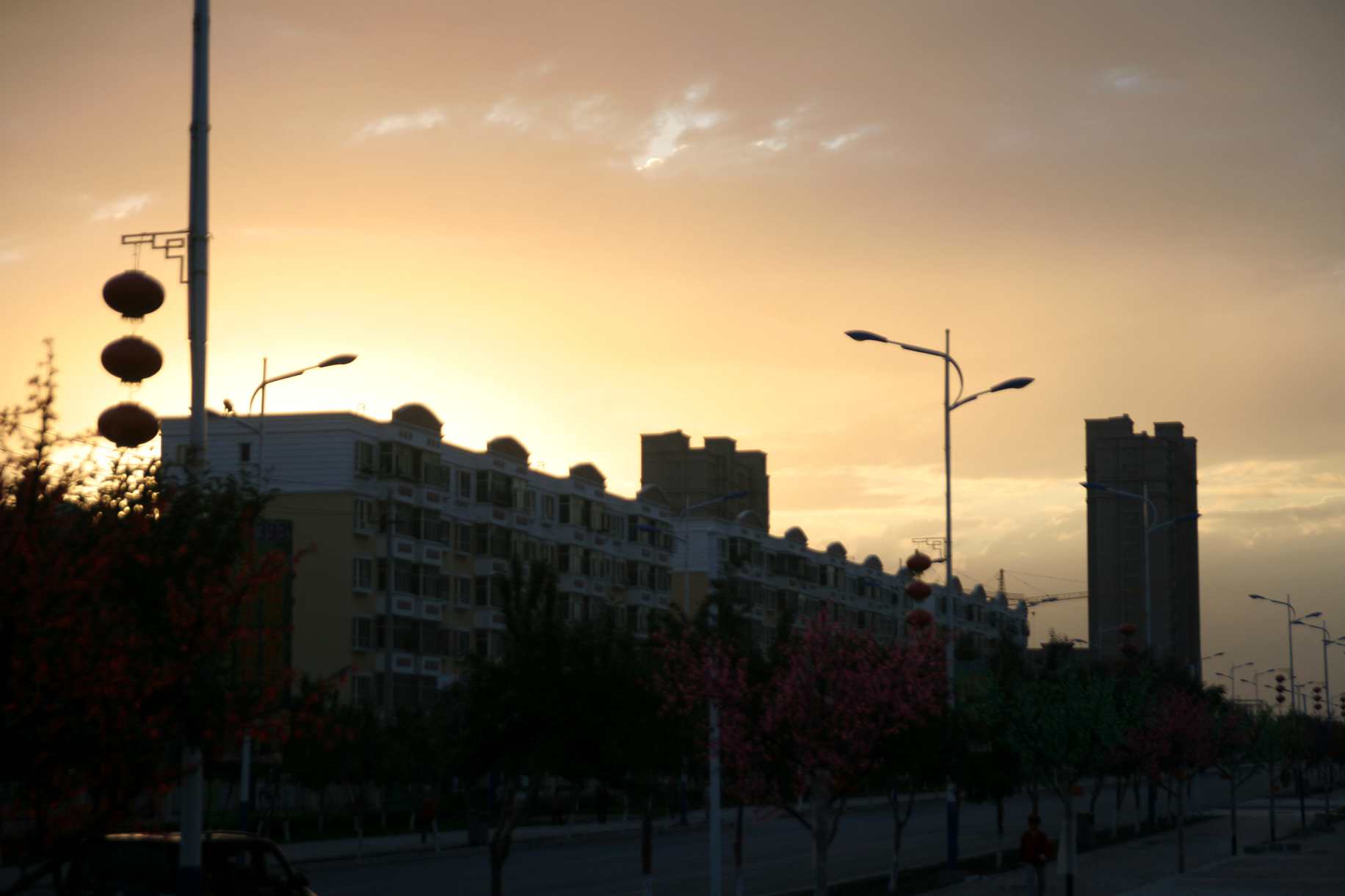 IMG_3852_.jpg