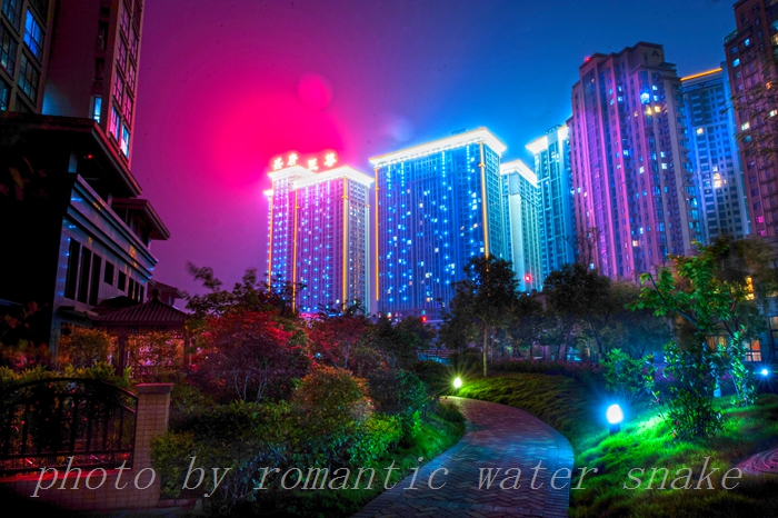 DSC_8921.jpg