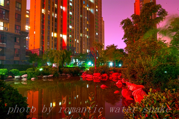 DSC_8922.jpg