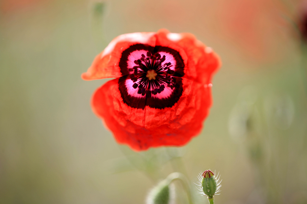 BL9K2519_.jpg