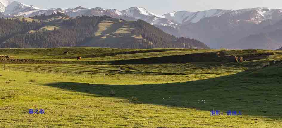 _MG_9063.jpg