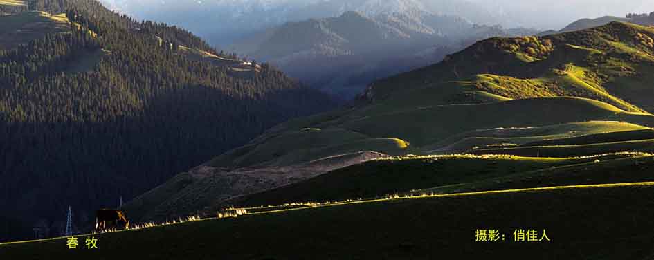 _MG_90831.jpg