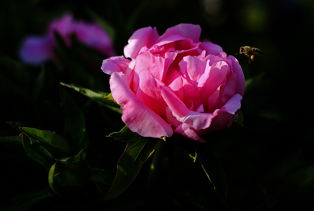 JFXT5833.jpg