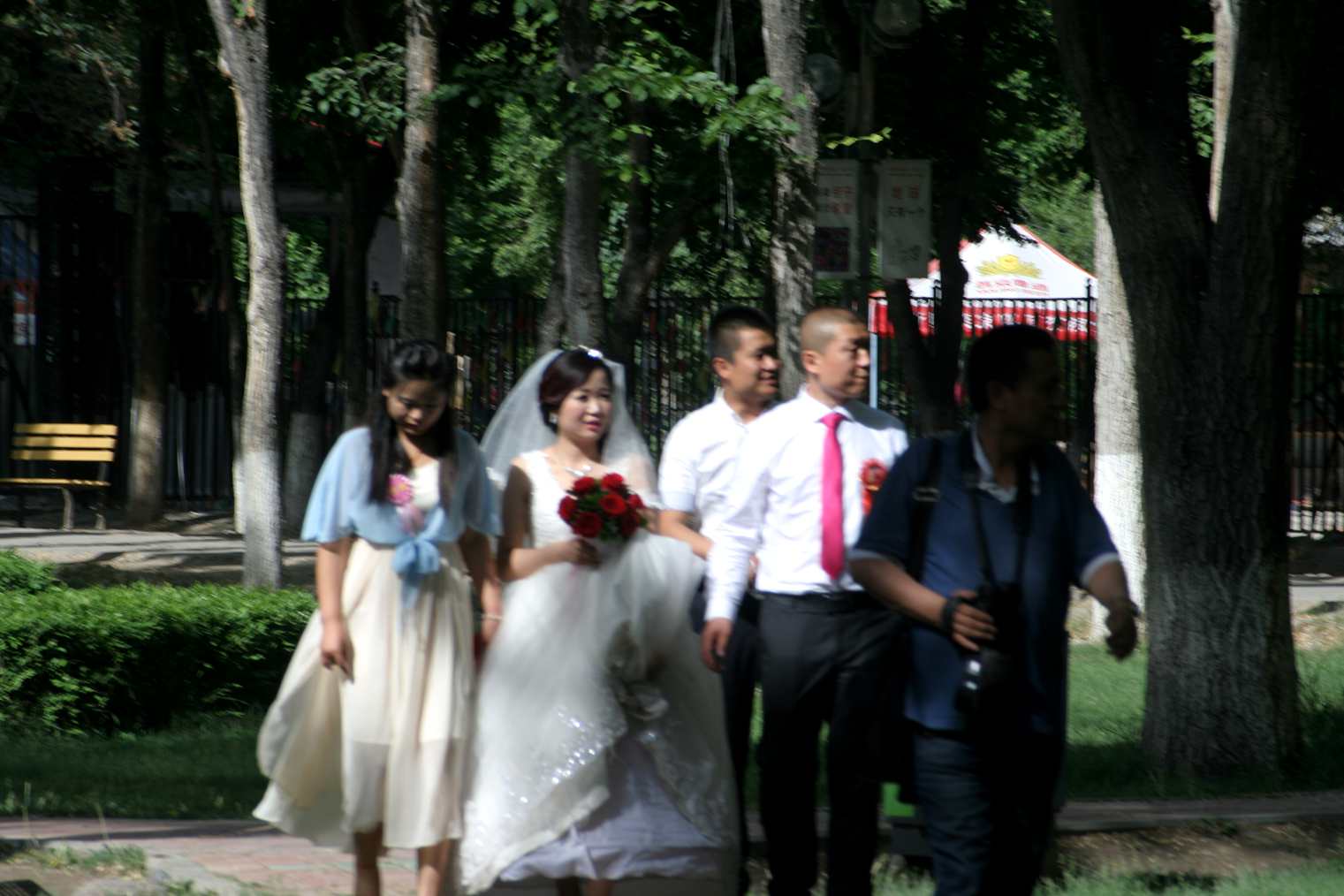 IMG_4002_.jpg