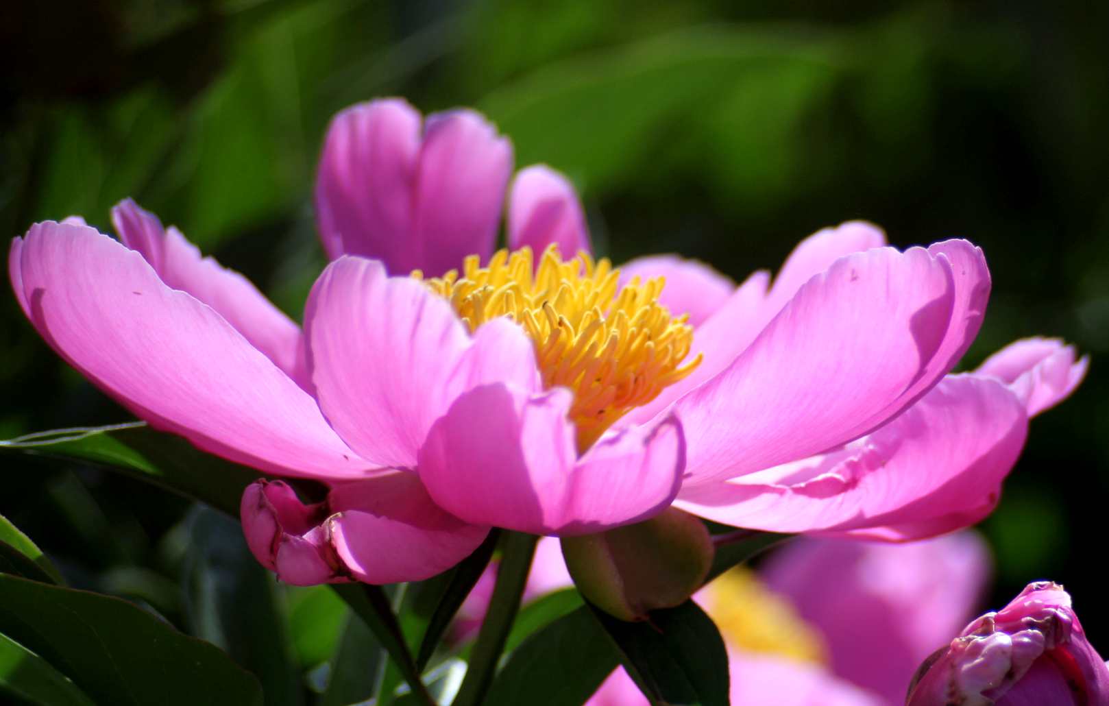 IMG_3973_.jpg