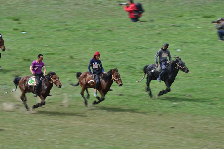 ޸ĳߴ21.jpg