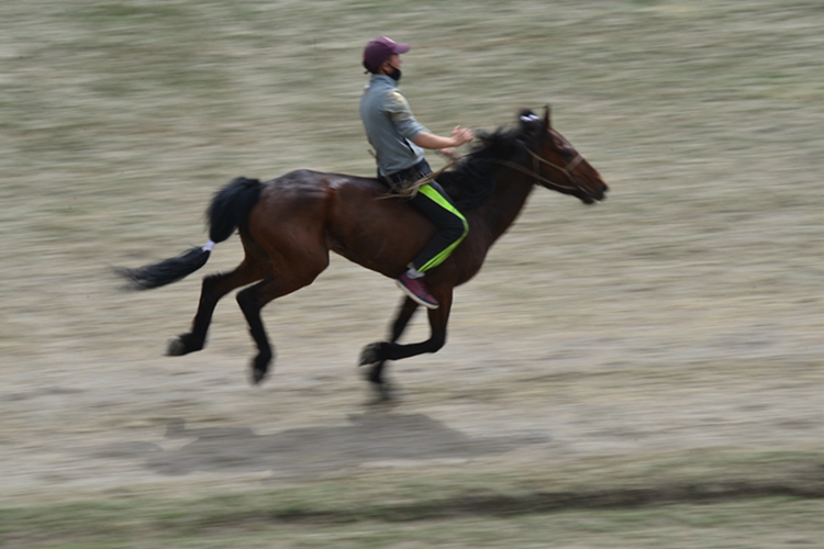 ޸ĳߴ22.jpg