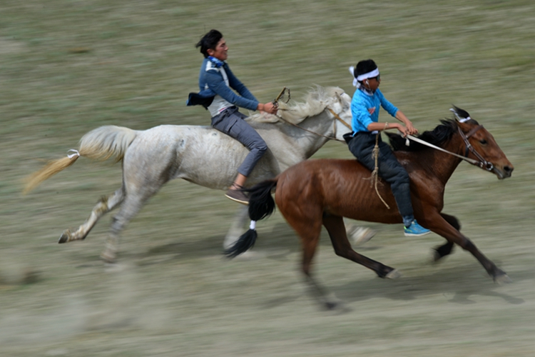 ޸ĳߴ27.jpg