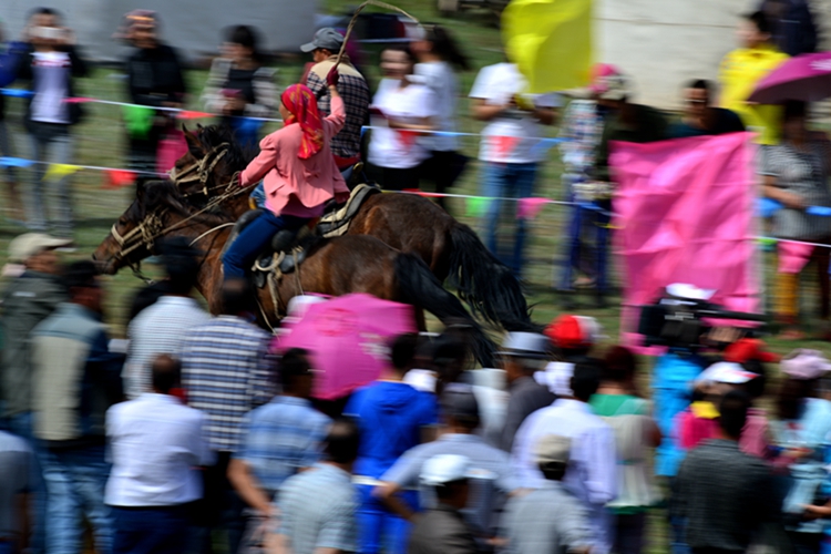 ޸ĳߴ11.jpg