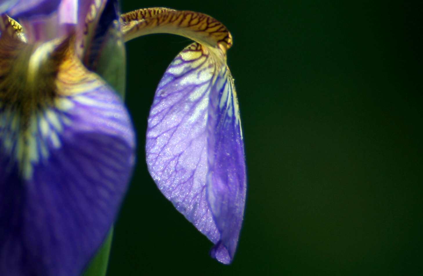 IMG_4048_.jpg