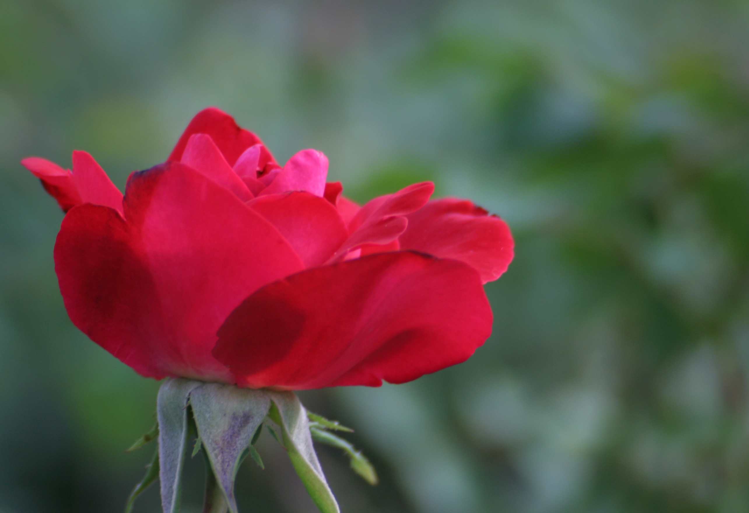 IMG_4152_.jpg