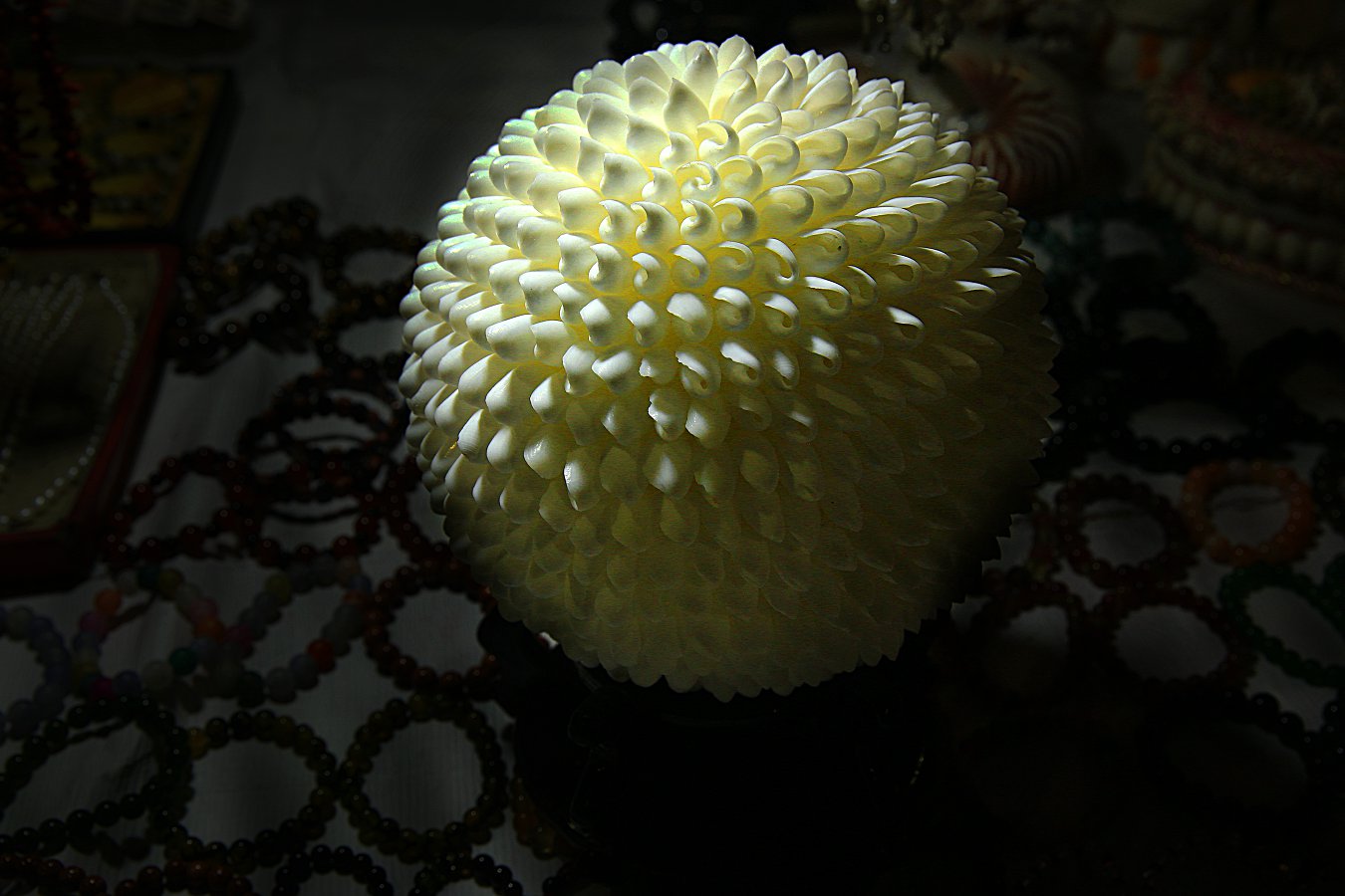 479A2572Q.jpg