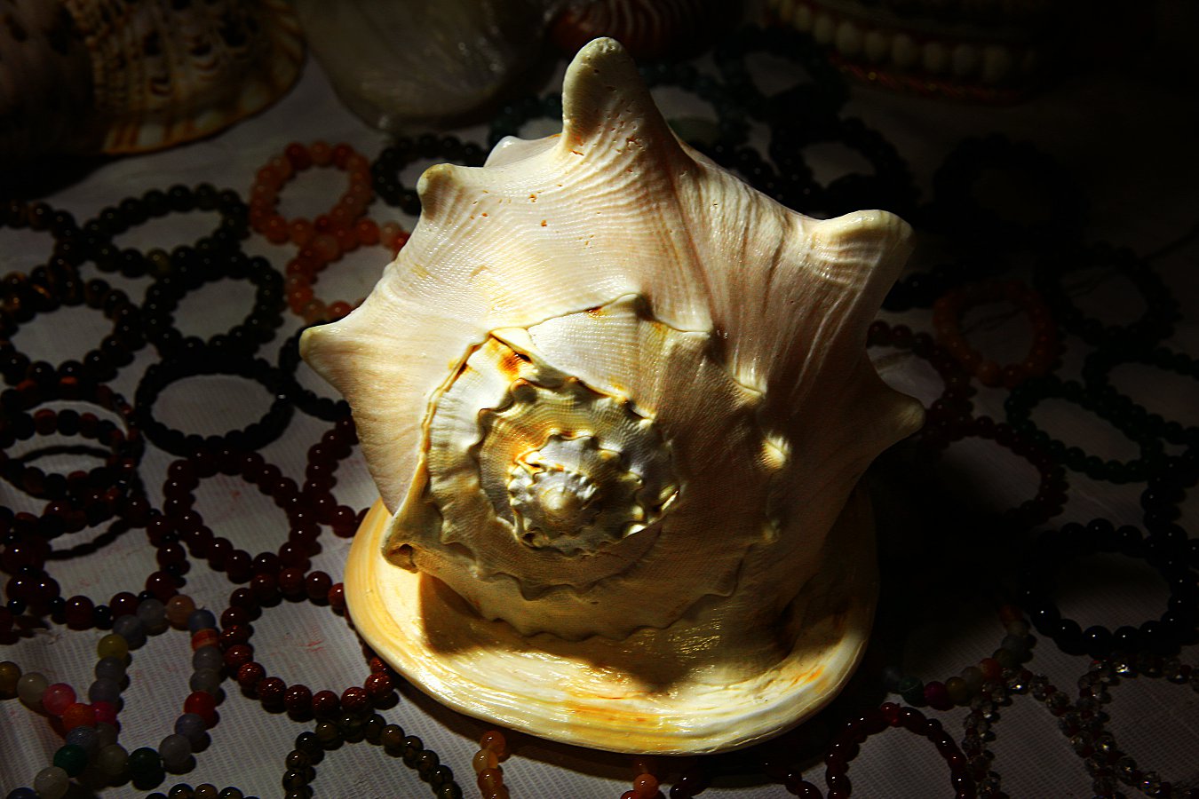 479A2578Q.jpg