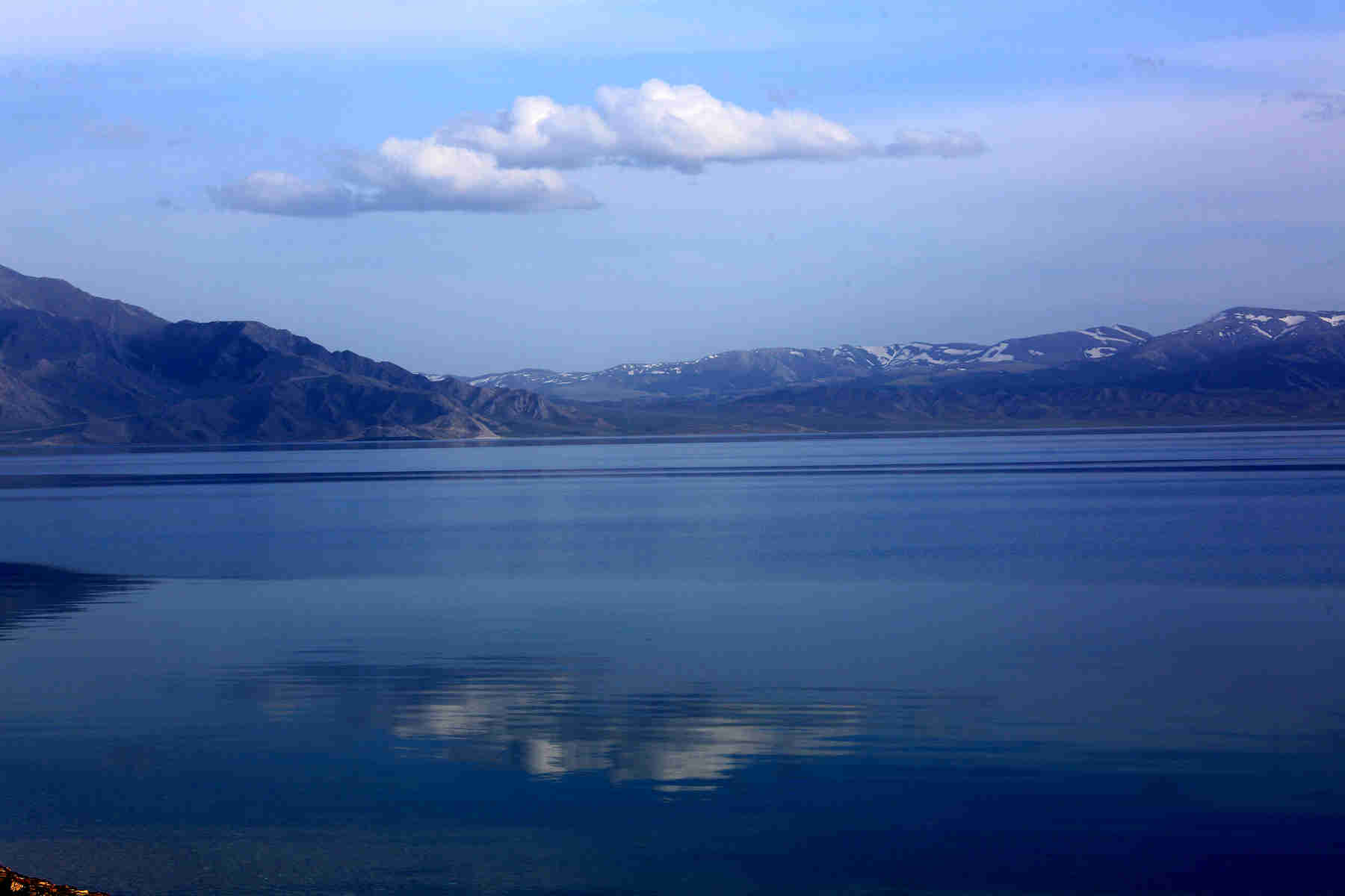 050C8887_.jpg
