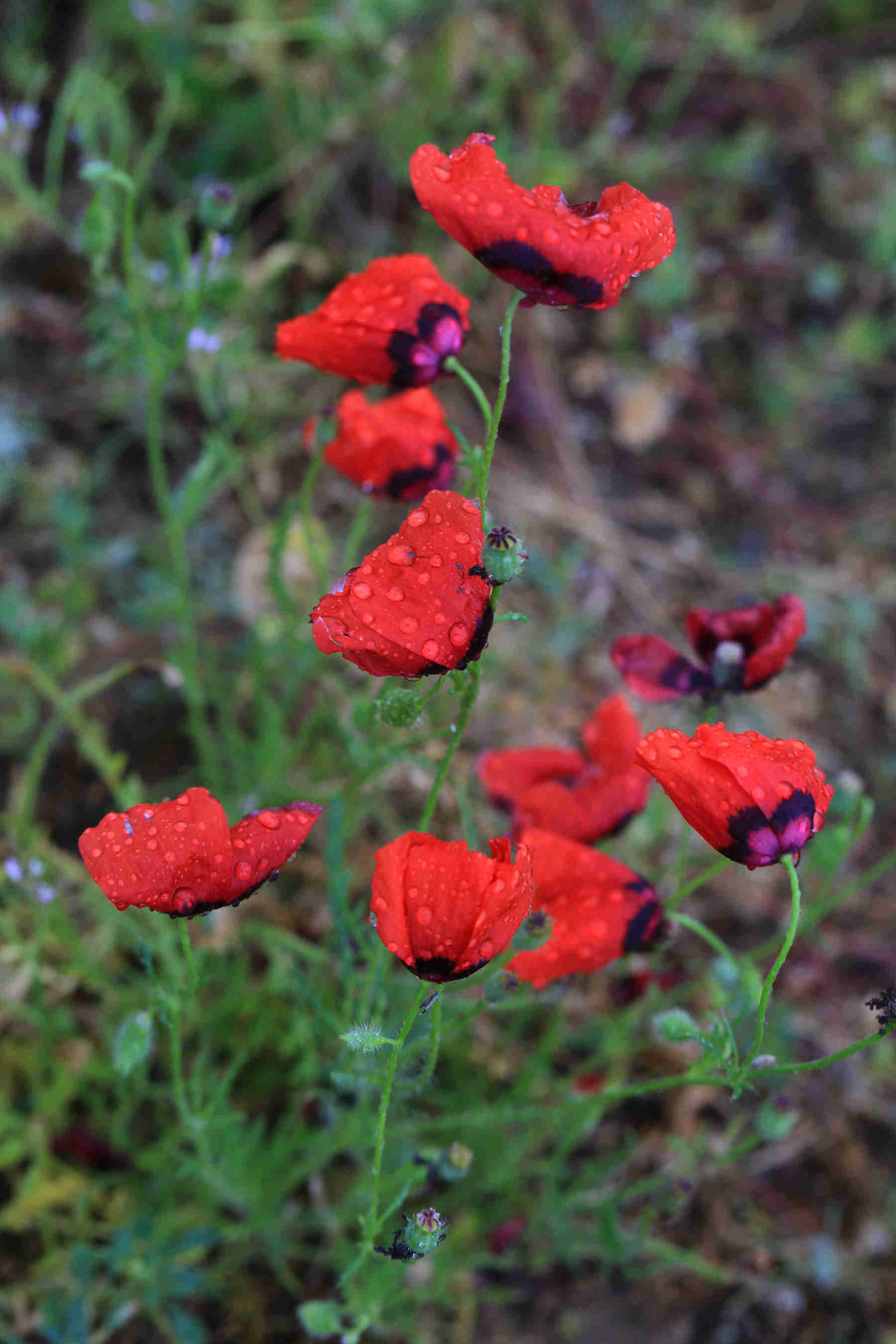 050C8942_.jpg